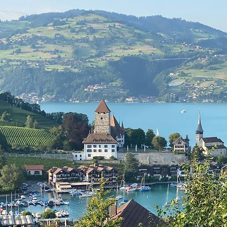 Herrlicher Blick Auf Berge Und See Faulensee Ngoại thất bức ảnh
